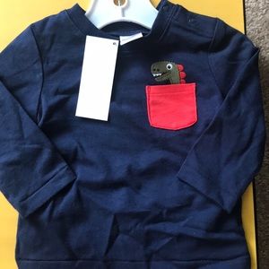 Gymboree boys  two piece set